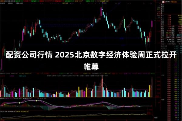 配资公司行情 2025北京数字经济体验周正式拉开帷幕