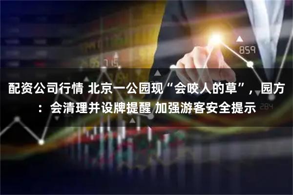 配资公司行情 北京一公园现“会咬人的草”，园方：会清理并设牌提醒 加强游客安全提示